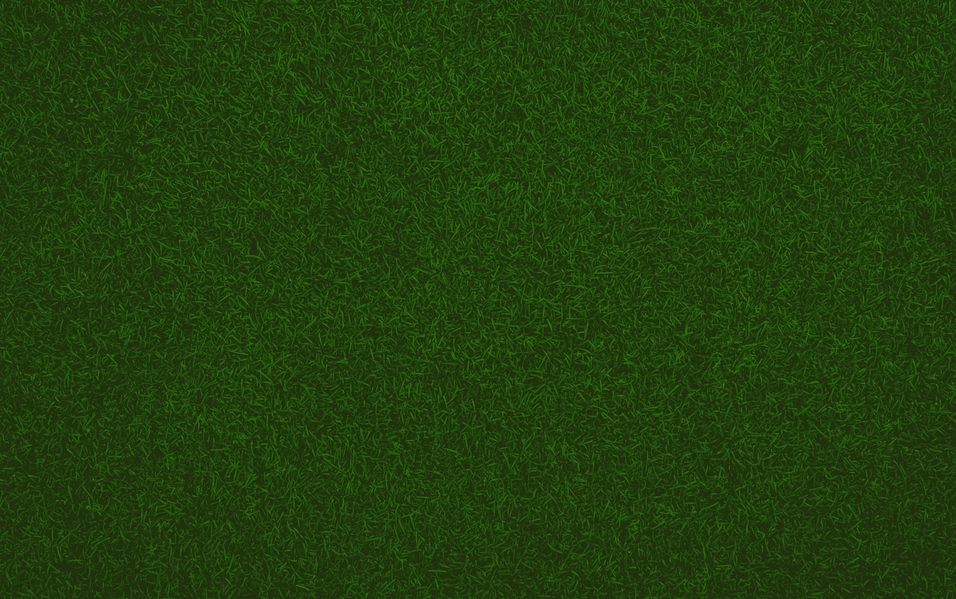 Green grass from above